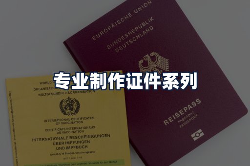 专业制作证件